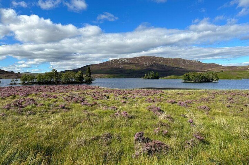 Half Day Loch Ness Circular Tour