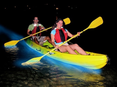 kayaking bioluminescent adventure bay expedia