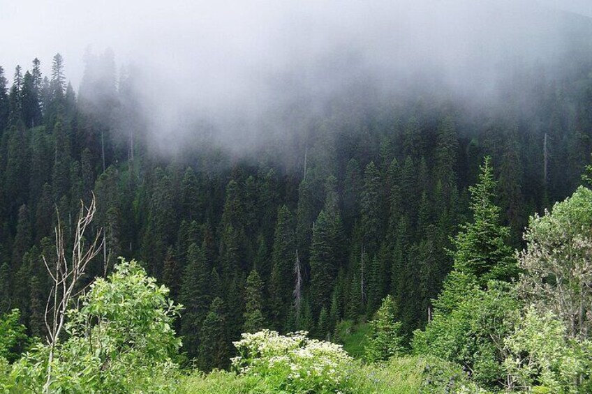 Full Day Guided Shared Tour in Vardzia, Rabati and Borjomi