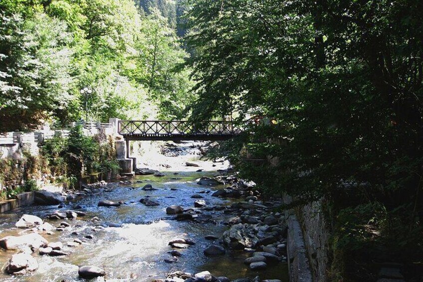 Full Day Guided Shared Tour in Vardzia, Rabati and Borjomi 