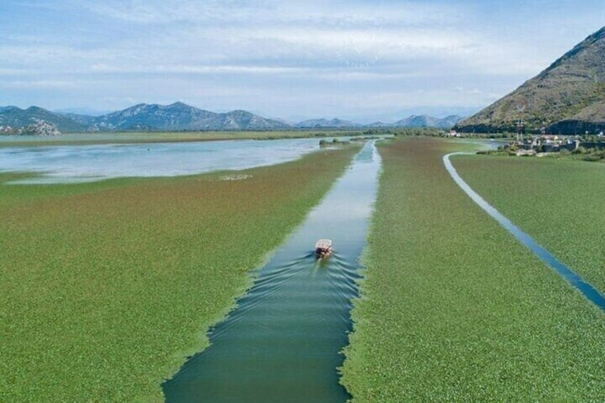 Two Hours Sightseeing Lake Cruise at Montenegro National Park