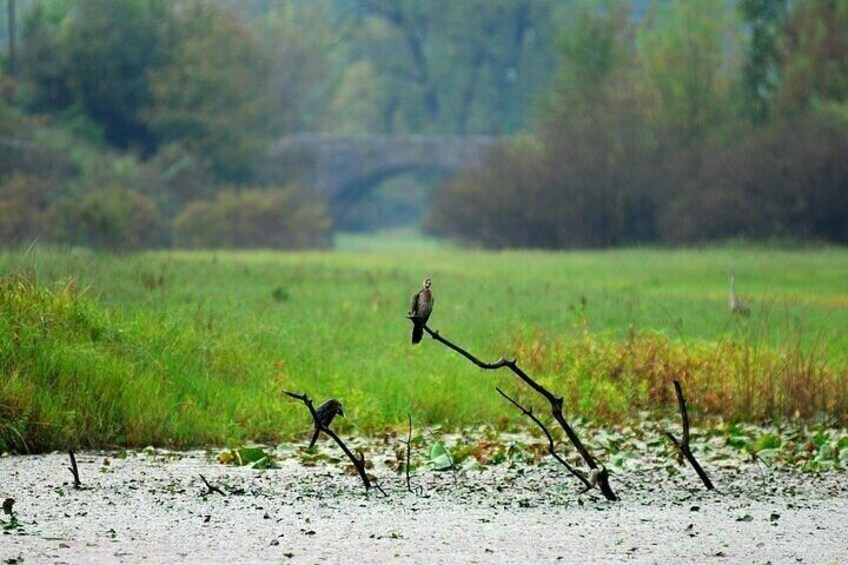 Two Hours Sightseeing Lake Cruise at Montenegro National Park