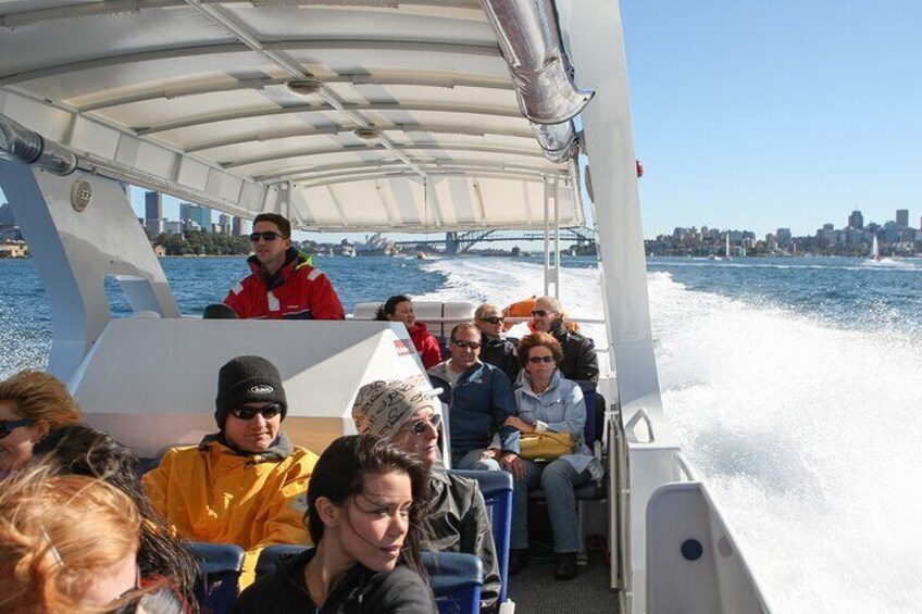 Whale Watching Adventure Cruise