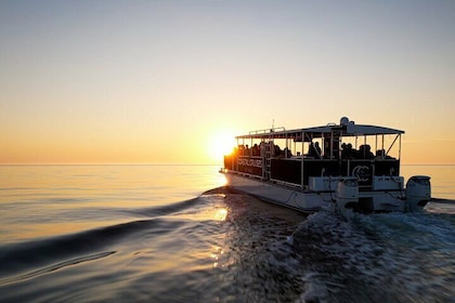 St. Pete Dolphin Watching and Island Sunset Cruise