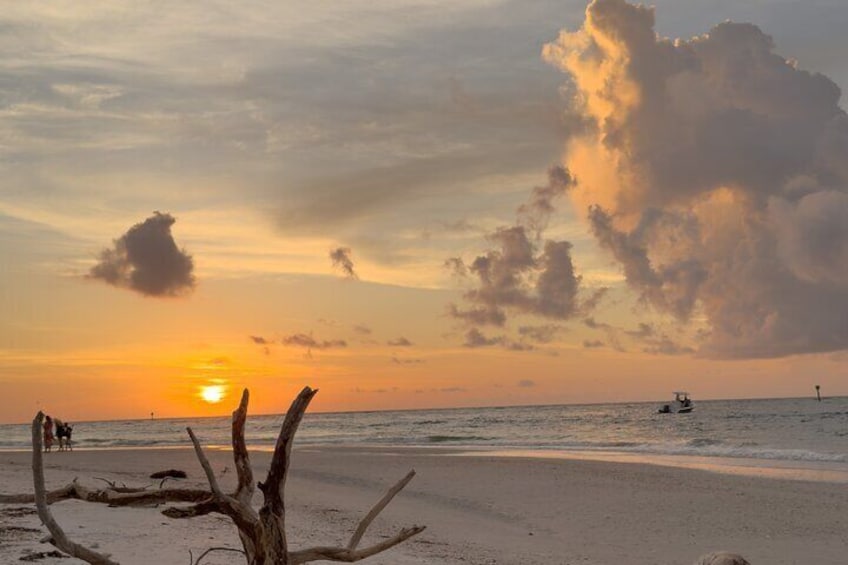 St. Pete Dolphin Watching and Island Sunset Cruise