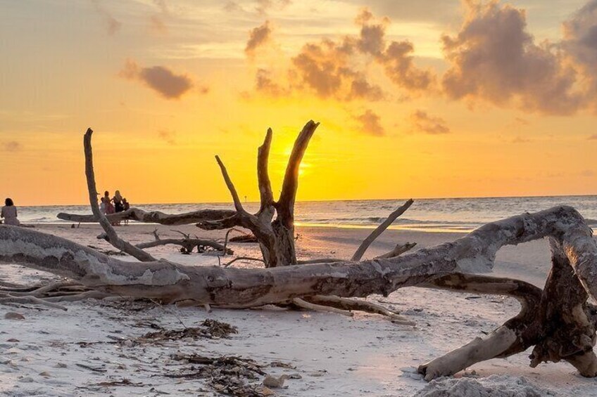 St. Pete Dolphin Watching and Island Sunset Cruise