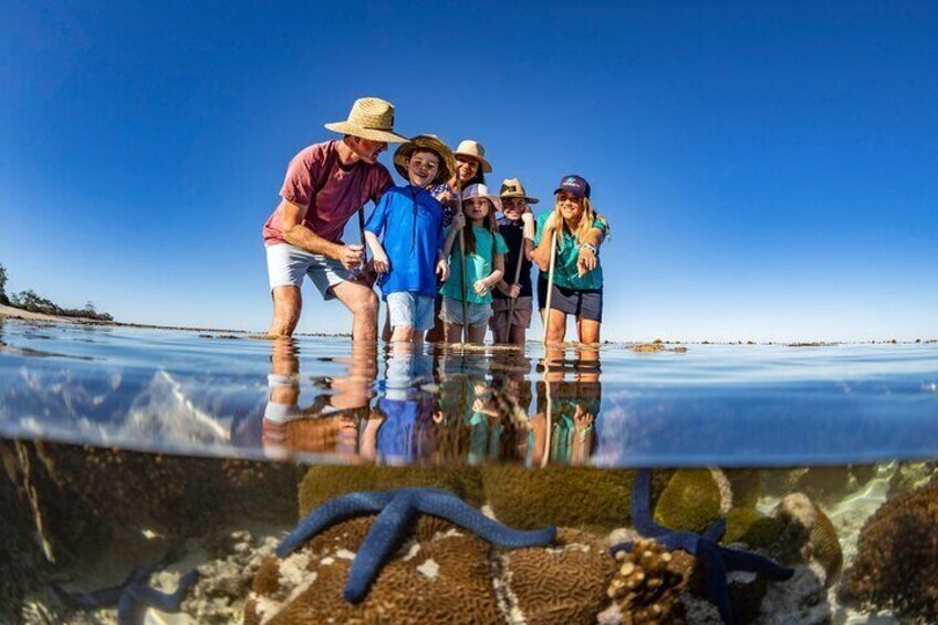 Great Barrier Reef Day Trip from Bundaberg to Lady Elliot Island 