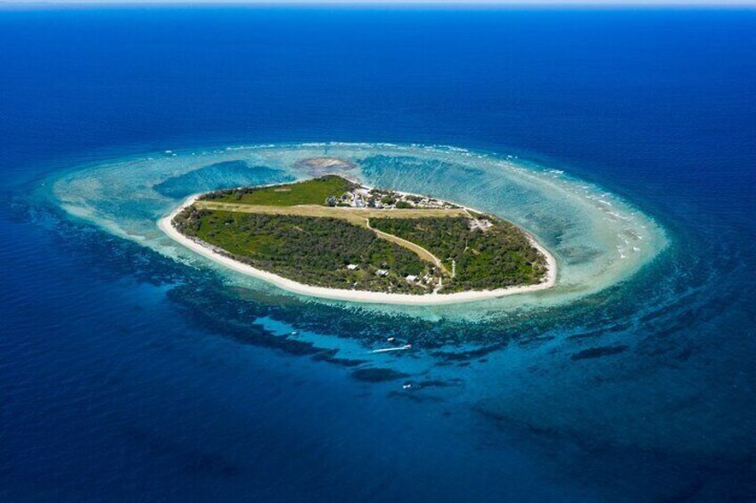 Great Barrier Reef Day Trip from Bundaberg to Lady Elliot Island 