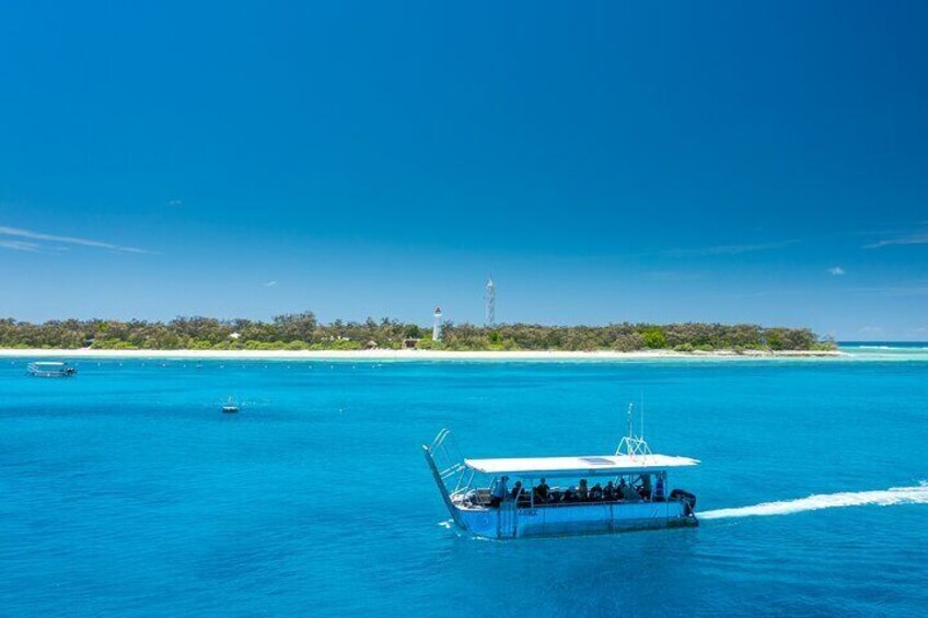 Great Barrier Reef Day Trip from Bundaberg to Lady Elliot Island 