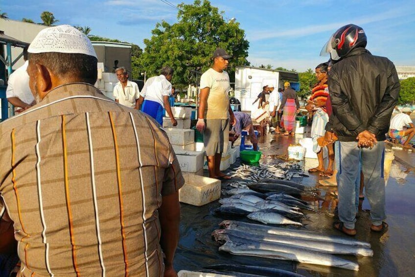 Hambantota Fish Market