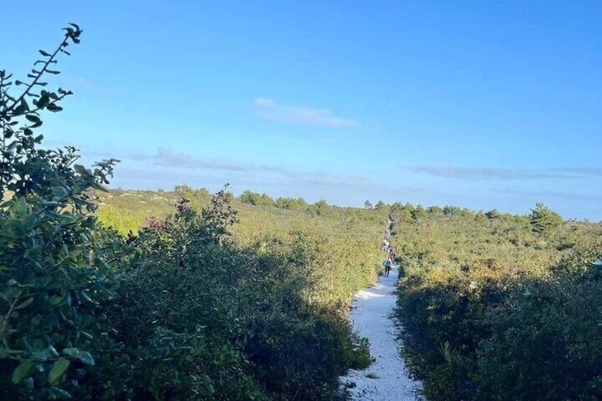 Sandy Trail. This is Florida!