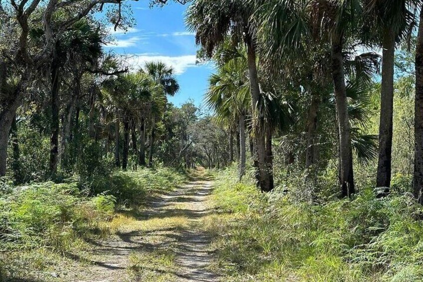 The Florida Backcountry. 