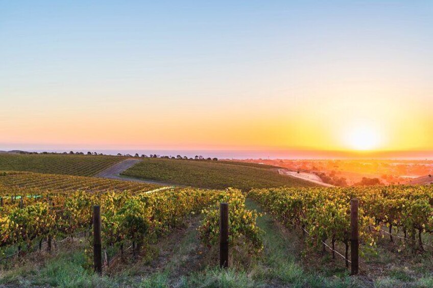 Barossa Valley Two Day Air Balloon Package and Accommodation