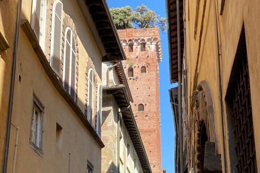 Guinigi Tower - Lucca