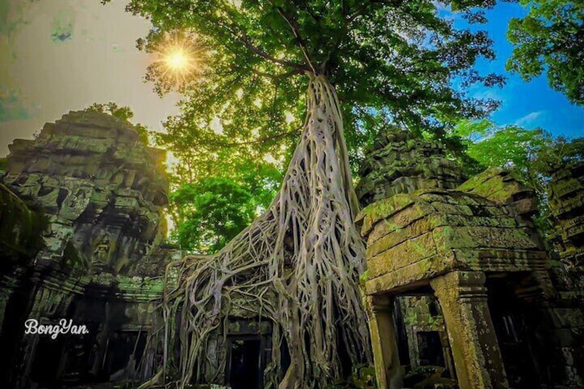 Ta Prohm 