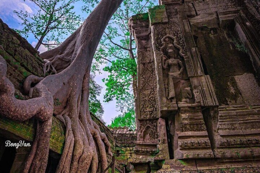 Ta Prohm temple