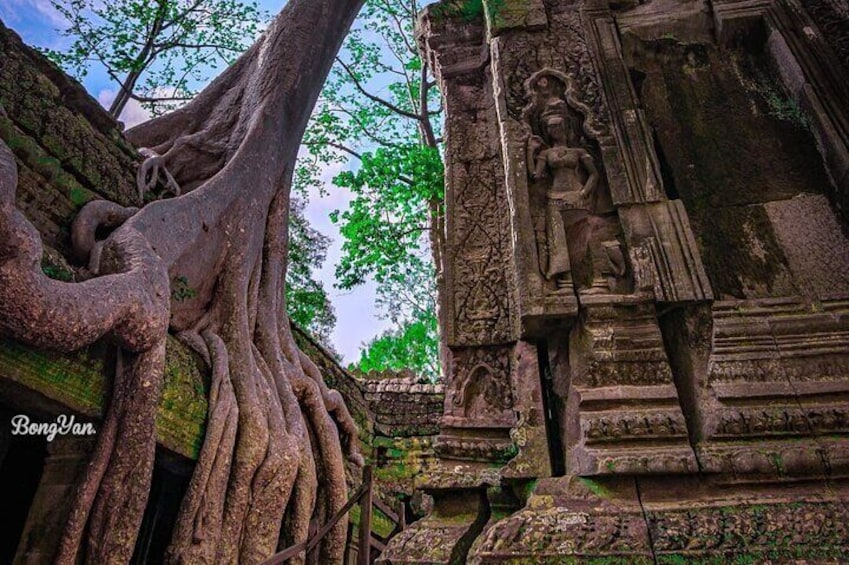 Ta Prohm temple 