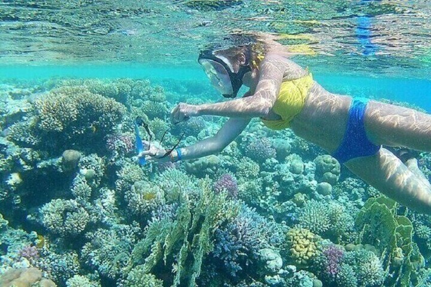 Magawiesh Island ( Snorkeling & Lunch) +Turkish Bath - Hurghada