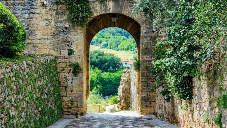 Chianti Wineries Tour with 7 Wine Tastings from Florence