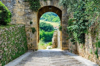Chianti Wineries Tour with 7 Wine Tastings from Florence
