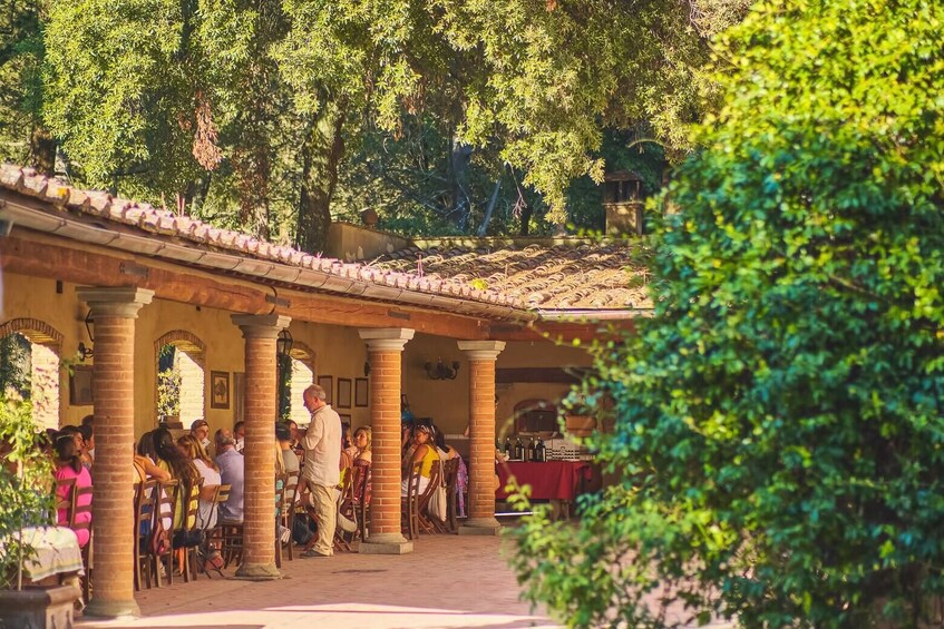 Chianti Colours and Flavours from Florence