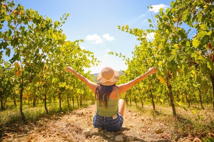 Tour delle cantine del Chianti con 7 degustazioni di vino da Firenze