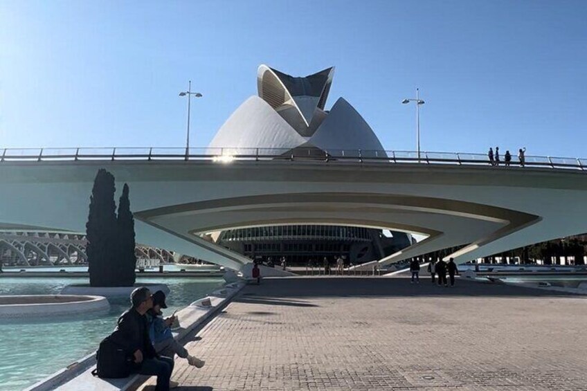 Private Tour in City of Arts and Sciences