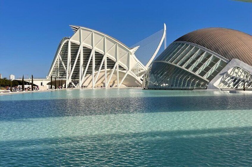 Private Tour in City of Arts and Sciences