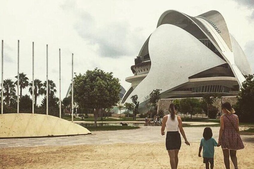 Private Tour in City of Arts and Sciences