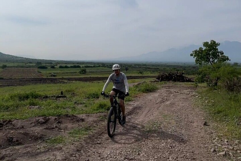 Bike and Art Tour in Tule and Teotilán