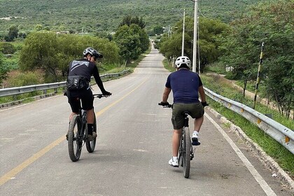 Bike & Art Tour: From El Tule to Teotitlán del Valle