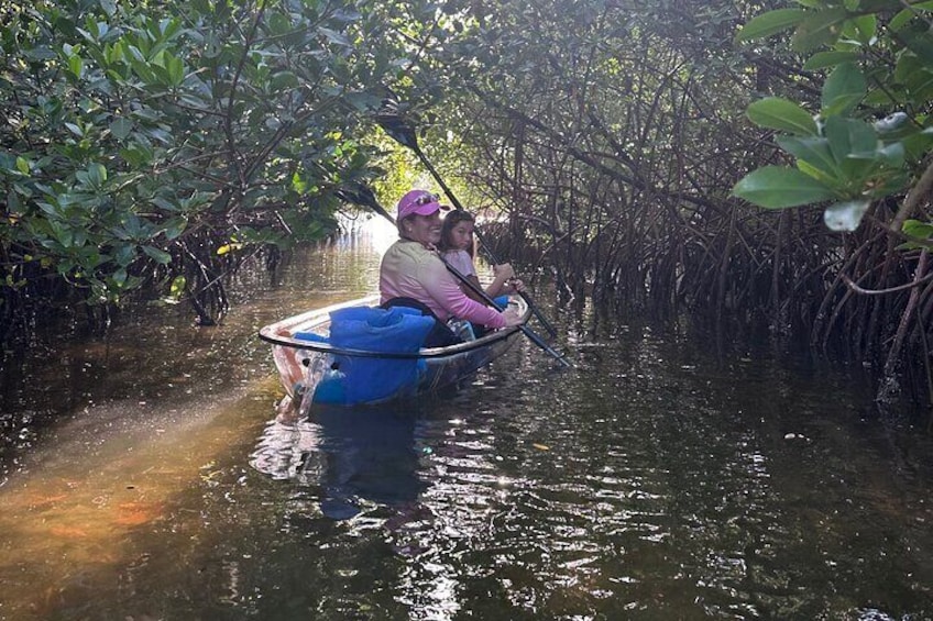 Clear Kayak John D. MacArthur State Park Tour With Guide