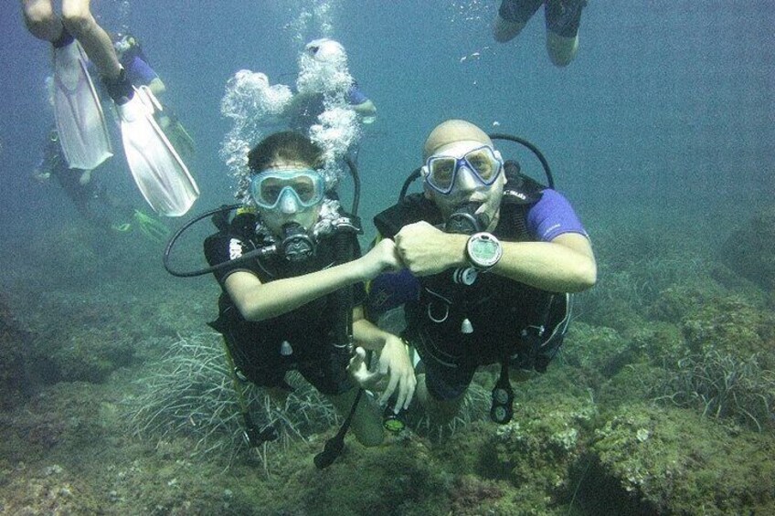 Guided dive for certified divers