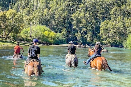 Adventure in El Manso Horseback Riding in the Heart of Patagonia