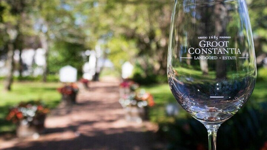Private Half Day Winelands Tour