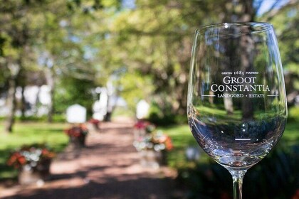 Private Half Day Winelands Tour