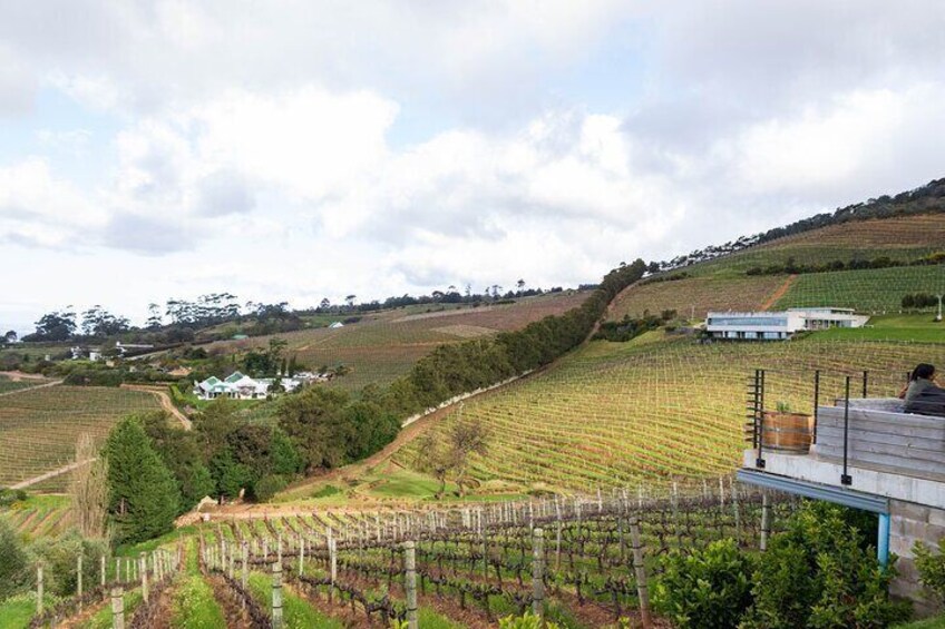 Private Half Day Winelands Tour