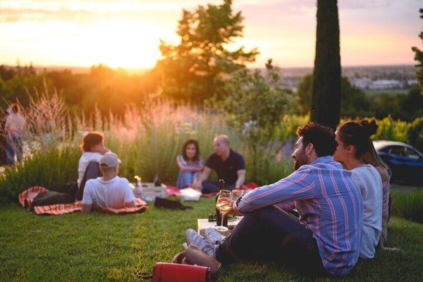 Tasting sessions in the garden