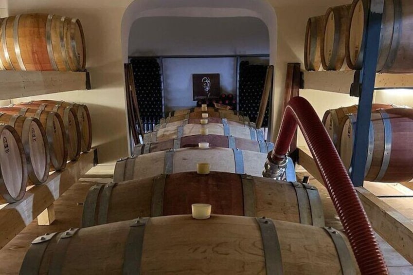 Visit a Winery with Wine Tasting in Mamoiada