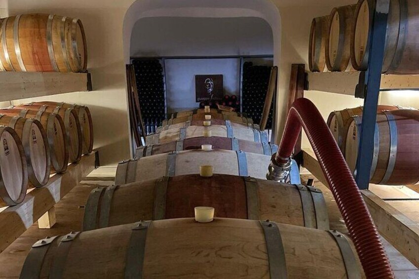 Visit a Winery with Wine Tasting in Mamoiada