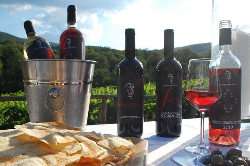 Visit a Winery with Wine Tasting in Mamoiada