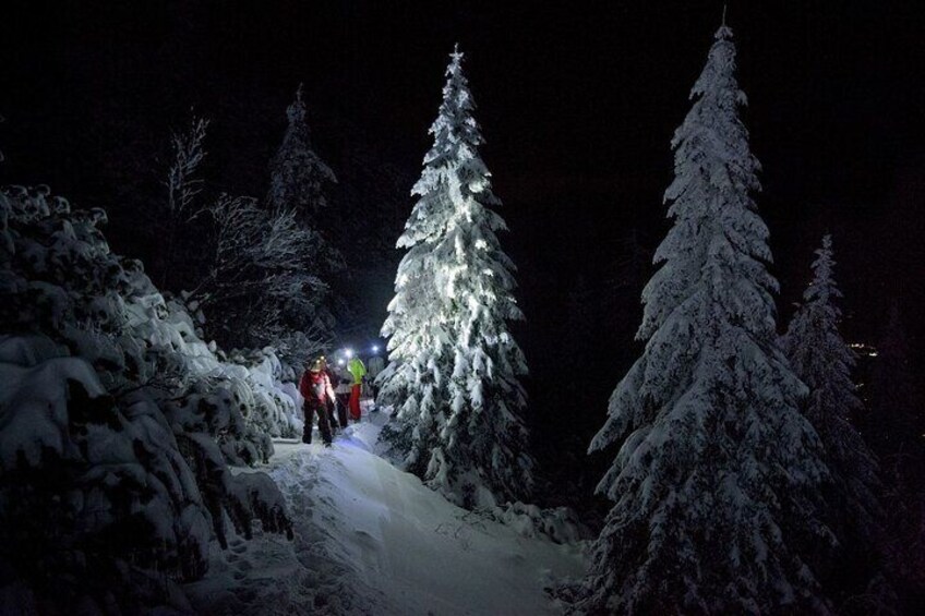 Small-Group Night Snowshoeing Experience in Rovaniemi 