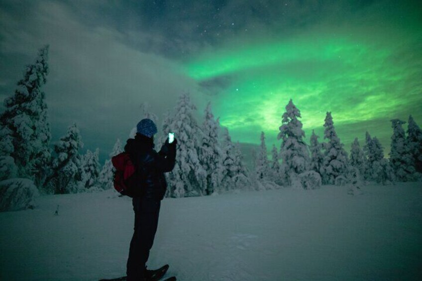 Small-Group Night Snowshoeing Experience in Rovaniemi 