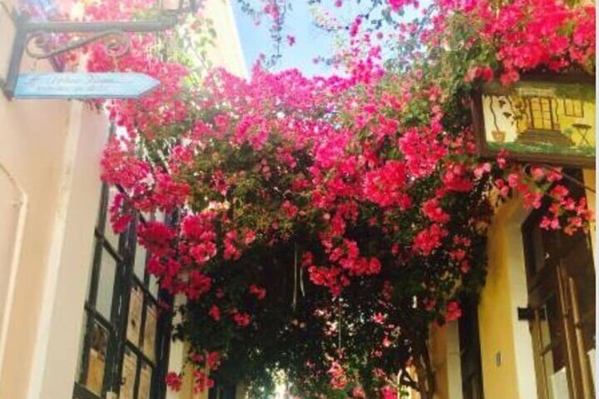 Nafplio alleys 