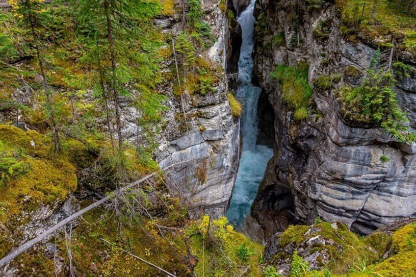 Self-Guided Audio Driving Tour in Jasper National Park