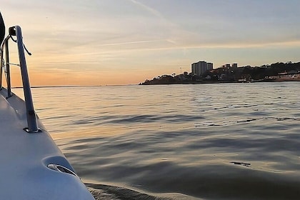 Sunset Yacht Small-Group Tour from Porto