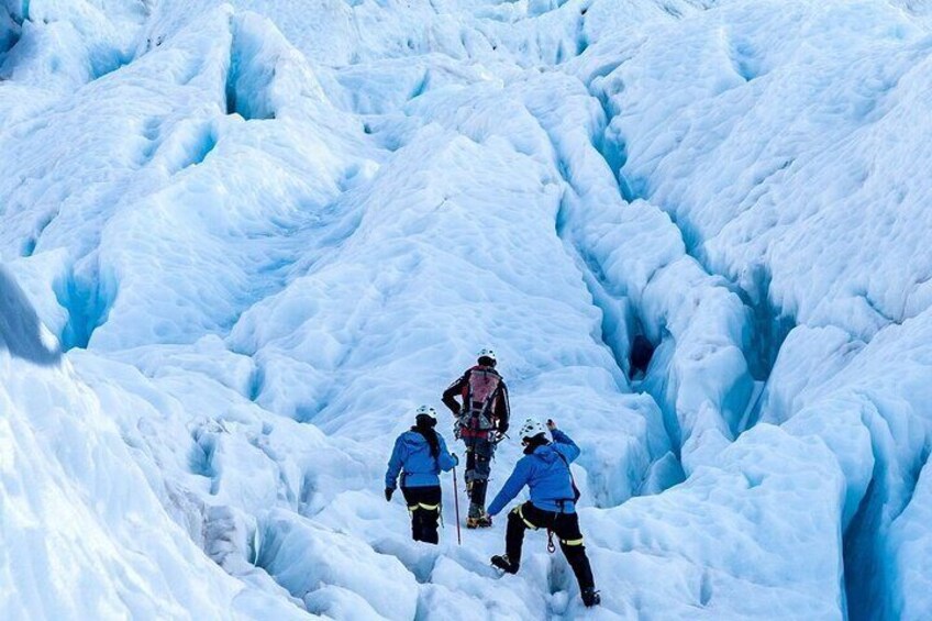 Franz Josef Small Group Heli Hike Adventure