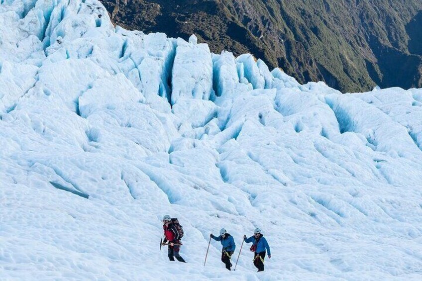 Franz Josef Small Group Heli Hike Adventure