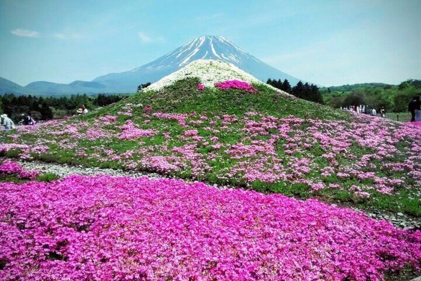 Mount Fuji Highlights Private Day Tour From Tokyo