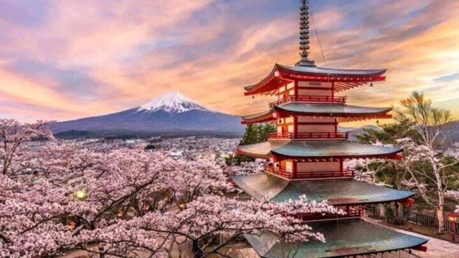 Private Sightseeing full day to Mt Fuji and Hakone